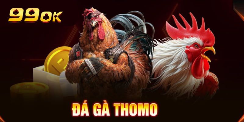 Đá Gà Thomo 99OK – Trận Đấu Đỉnh Cao Đầy Kịch Tính 3 Chiến kê cựa sắt tại đá gà Thomo sẵn sàng ra đòn quyết liệt